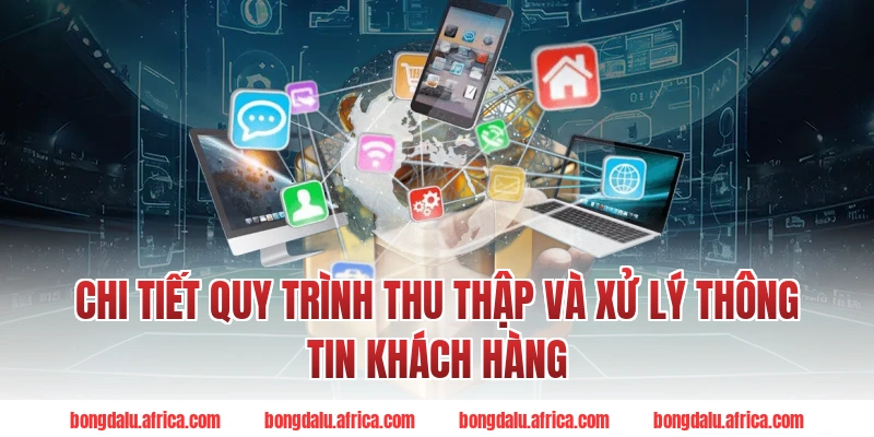 Chi Tiết Quy Trình Thu Thập Và Xử Lý Thông Tin Khách Hàng
