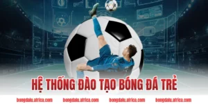 Hệ Thống Đào Tạo Bóng Đá Trẻ: Nền Tảng Vươn Tầm Thế Giới