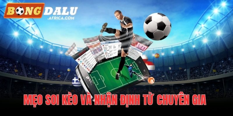 Mẹo soi kèo và nhận định từ chuyên gia