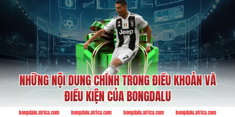 Những Nội Dung Chính Trong Điều Khoản Và Điều Kiện Của Bongdalu