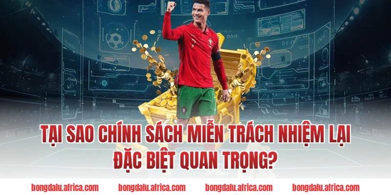 Tại sao chính sách miễn trách nhiệm lại đặc biệt quan trọng?