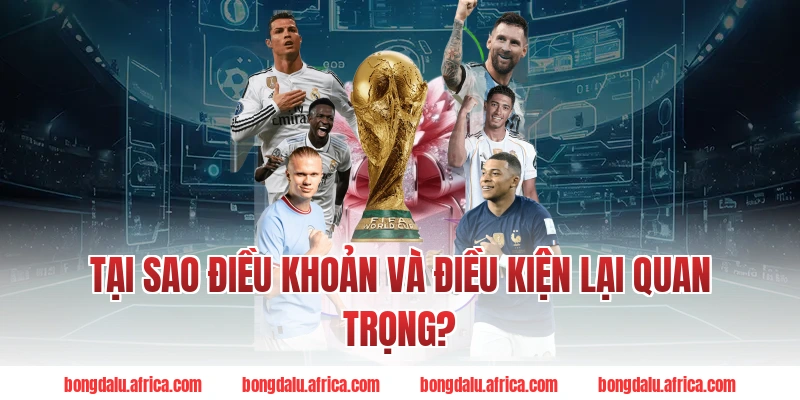 Tại Sao Điều Khoản Và Điều Kiện Lại Quan Trọng?