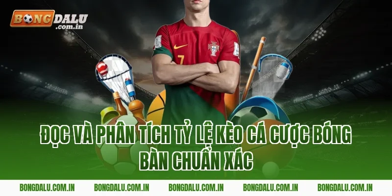 Đọc Và Phân Tích Tỷ Lệ Kèo Cá Cược Bóng Bàn Chuẩn Xác