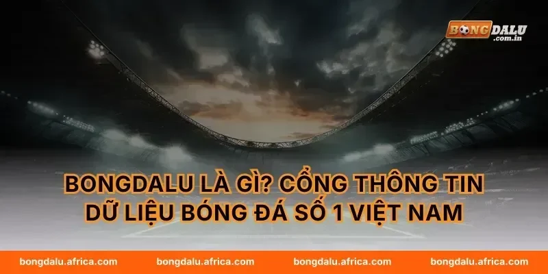 Bongdalu Là Gì? Cổng Thông Tin Dữ Liệu Bóng Đá Số 1 Việt Nam