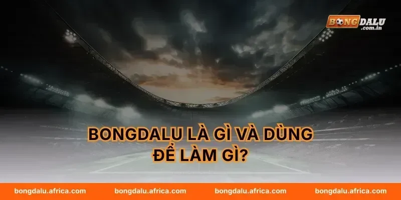 Bongdalu là gì và dùng để làm gì?