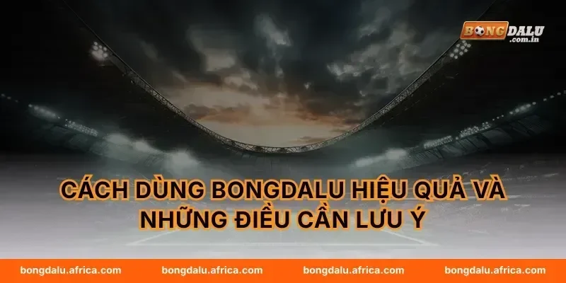 Cách dùng Bongdalu hiệu quả và những điều cần lưu ý