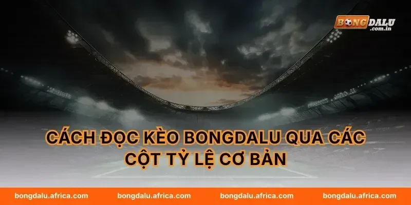Cách đọc kèo Bongdalu qua các cột tỷ lệ cơ bản