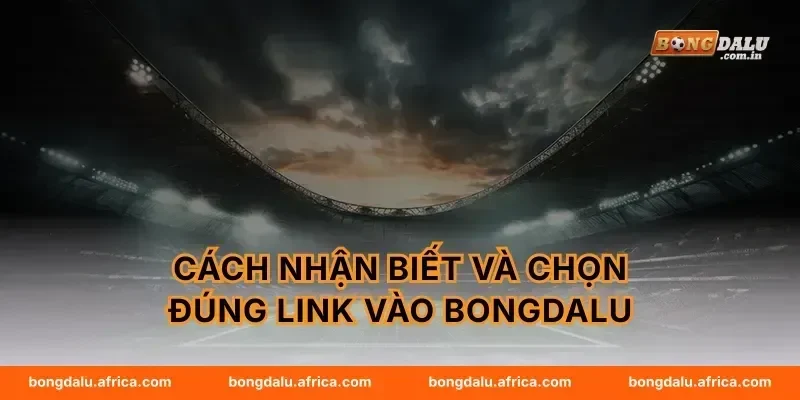 Cách nhận biết và chọn đúng link vào Bongdalu