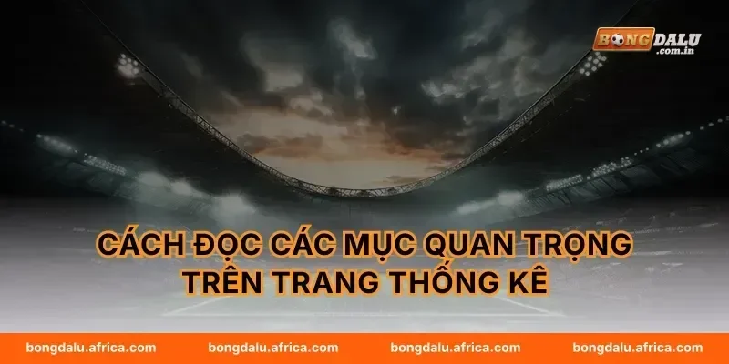 Cách đọc các mục quan trọng trên trang thống kê