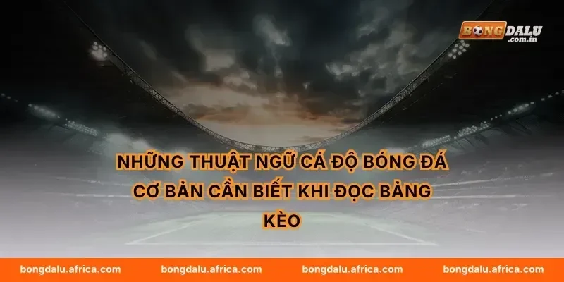 Những thuật ngữ cá độ bóng đá cơ bản cần biết khi đọc bảng kèo