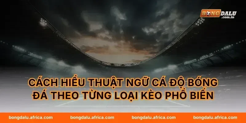 Cách hiểu thuật ngữ cá độ bóng đá theo từng loại kèo phổ biến